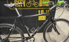 Beloved Classic Freeride 26 bicycle